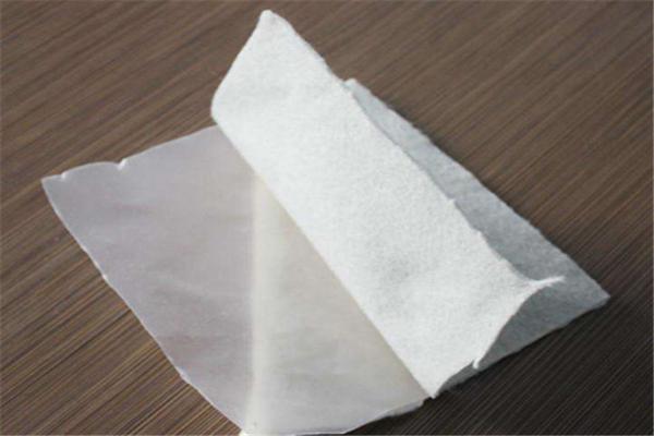 復(fù)合土工膜可以用在哪些復(fù)雜環(huán)境中